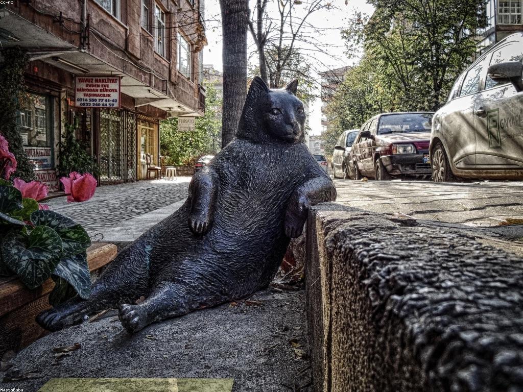 របៀបនឹងធ្វើការពិនិត្យគេហទំព័រ